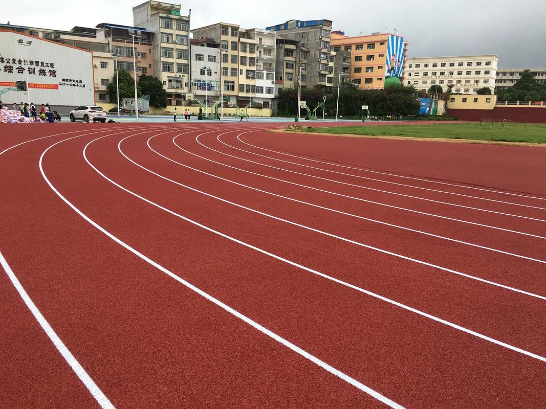 枣庄市学校塑胶跑道塑胶跑道材料 - 推荐